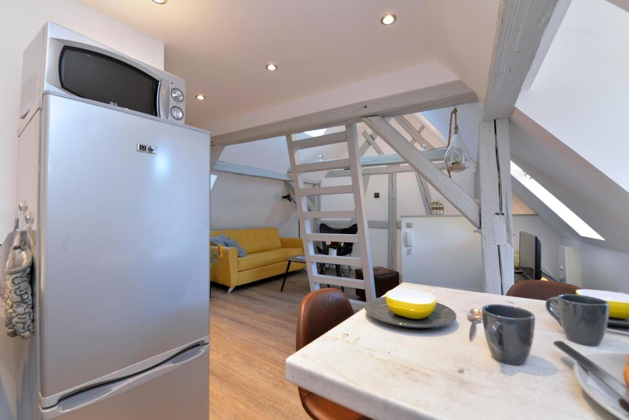 Appartement La Petite Terrasse Sur Les Toits كولمار المظهر الخارجي الصورة